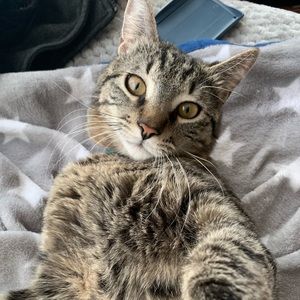 Meet your Posher, Jenifer